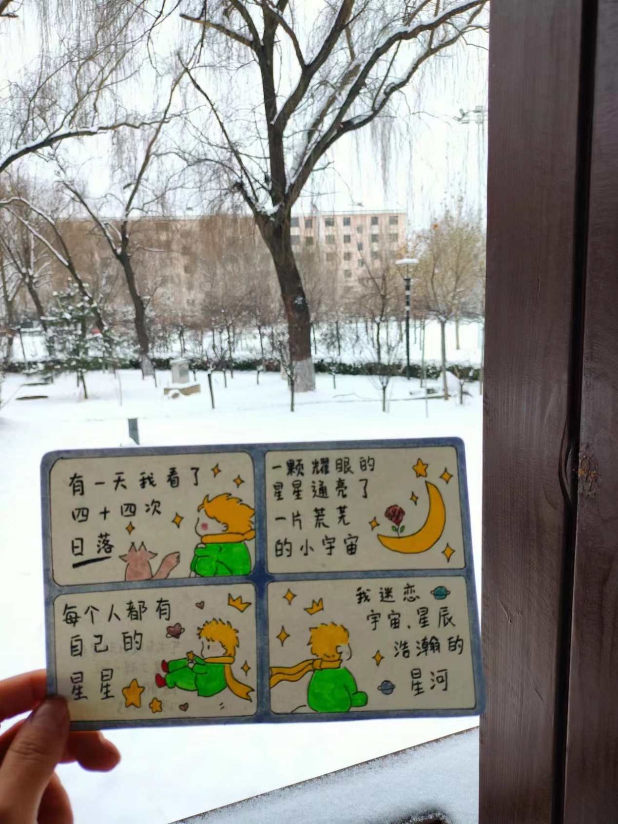 1702636847119490.jpg