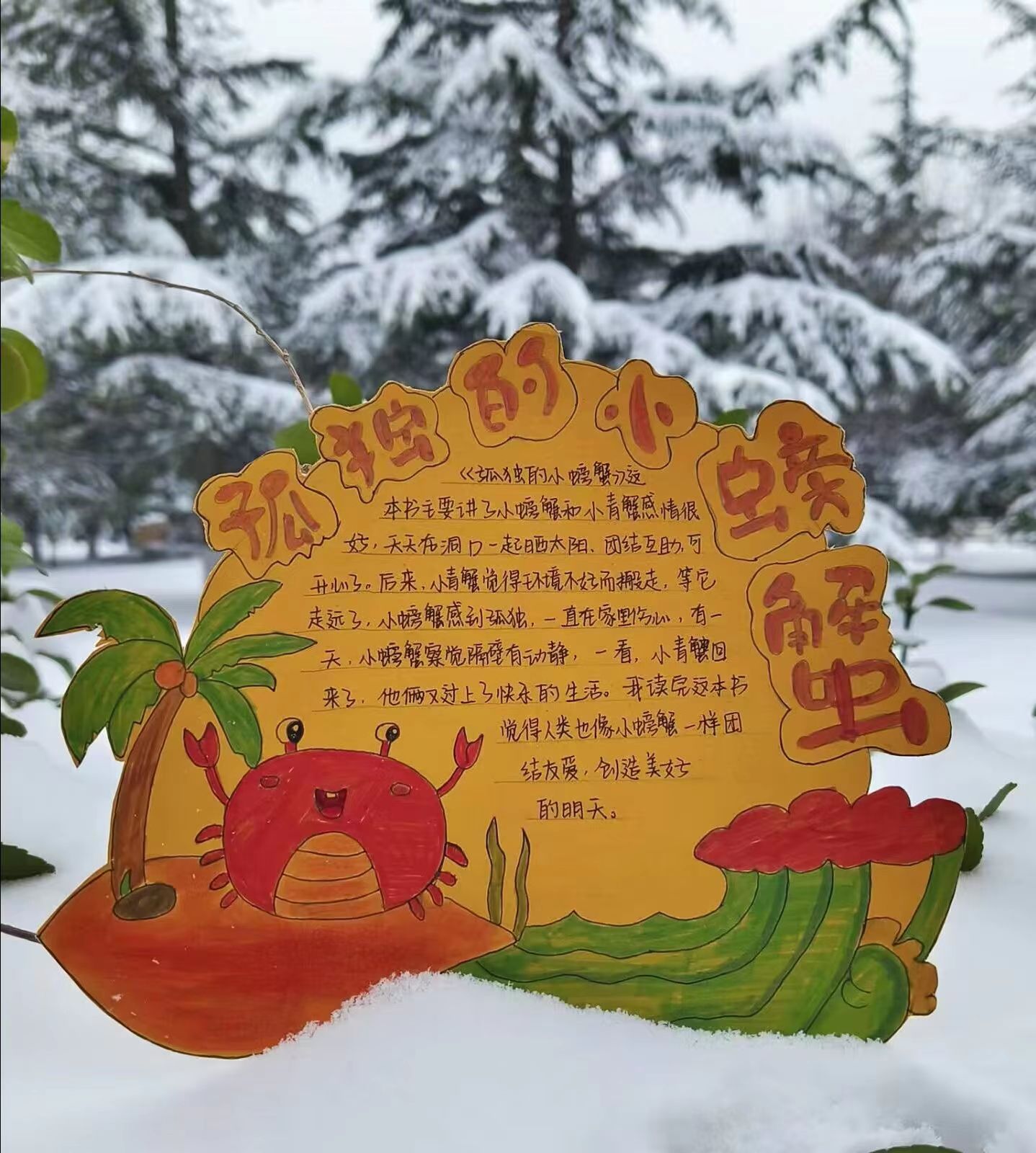 1702637002215417.jpg